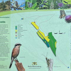 22-05-08 10-39-08 0753